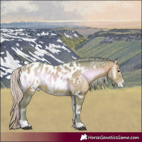 Horse Color:Watercolor White Spotted Silver Brown Ice Onyx Appaloosa Rabicano 