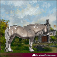 Horse Color:White Spotted Silver Blue Onyx Ice 