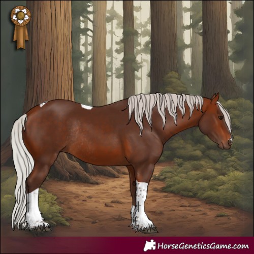 Horse Color:Silver Bay Tobiano Rabicano 