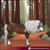 Horse Color:Silver Brown Sabino Tobiano
