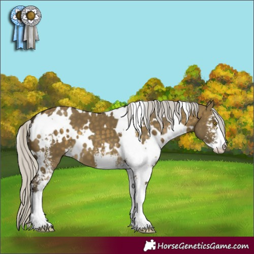 Horse Color:White Spotted Silver Buckskin Dun Sabino 