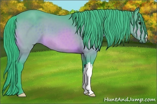 Horse Color:Watercolor Buckskin 