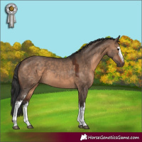 Horse Color:White Spotted Brown Dun 