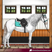 Horse Color:Grullo Snowflake Varnish