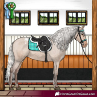 Horse Color:Silver Bay Dun Snowcap 