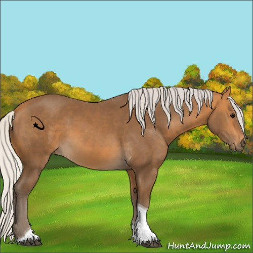 Horse Color:Silver Buckskin Tobiano