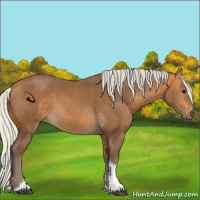 Horse Color:Silver Buckskin Tobiano 
