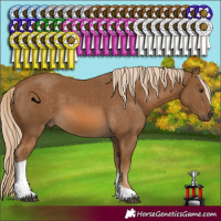 Horse Color:Chocolate Palomino Tobiano