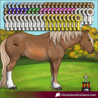 Horse Color:Chocolate Palomino Tobiano 