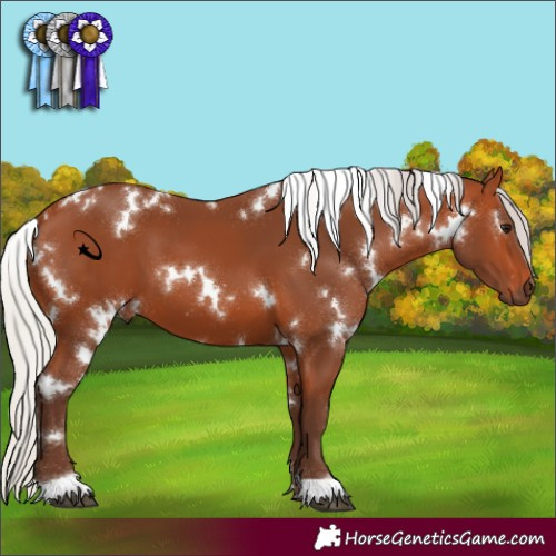 Horse Color:White Spotted Silver Bay 