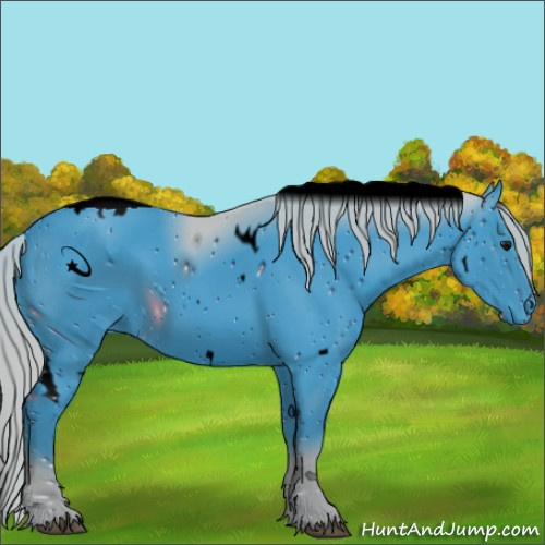 Horse Color:ERROR: UNKNOWN ANOMALY