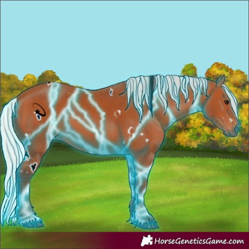 Horse Color:Thunderstruck White Spotted Silver Bay 