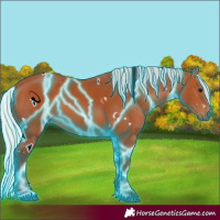 Horse Color:Thunderstruck White Spotted Silver Bay