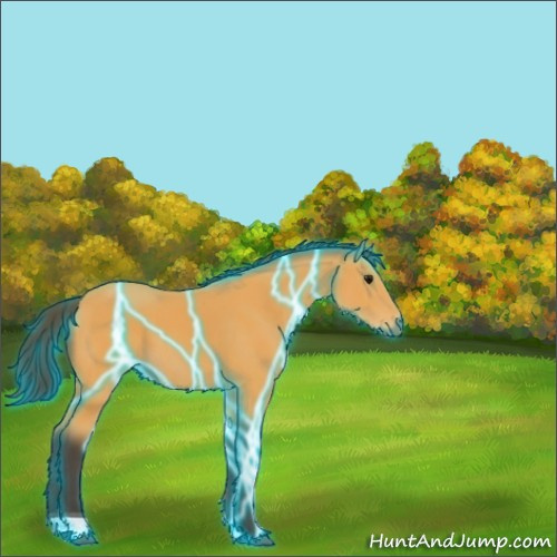 Horse Color:Thunderstruck Buckskin Tobiano 