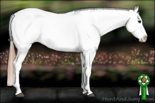 Horse Color:Buckskin Leopard 