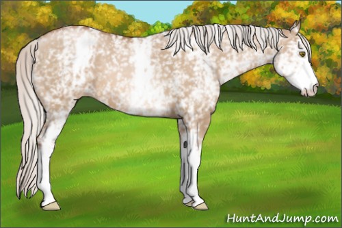 Horse Color:White Spotted Silver Brown Pearl Dun 