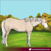Horse Color:White Spotted Silver Bay Dun Varnish 