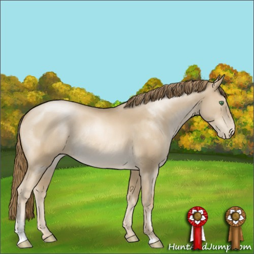 Horse Color:Smoky Black Pearl Sabino Rabicano 