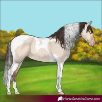 Horse Color:Amber Champagne Dun Tobiano 