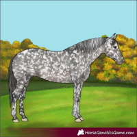 Horse Color:Grullo Mushroom Tobiano Snowflake VarnishBrindle 