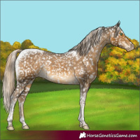 Horse Color:Chocolate Palomino Mushroom Tobiano Snowflake VarnishRabicano 