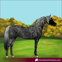 Horse Color:ERROR: UNKNOWN ANOMALY