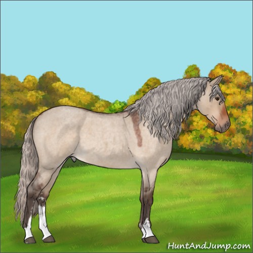 Horse Color:Silver Brown Roan Dun Sabino 