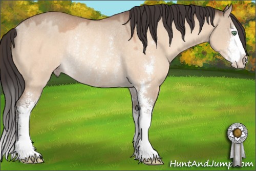 Horse Color:Sable Champagne Dun Sabino Rabicano 