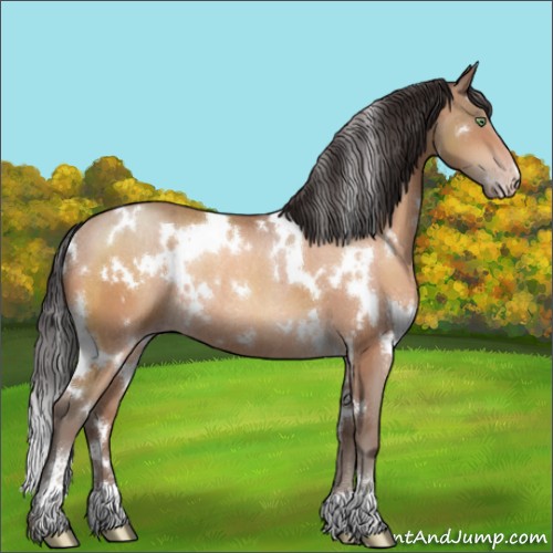 Horse Color:White Spotted Sable Champagne Sabino Rabicano 