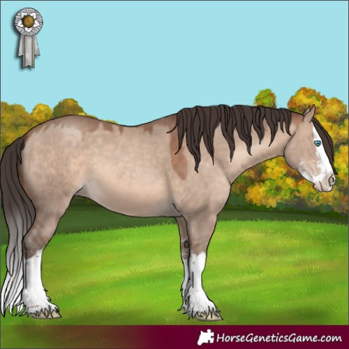 Horse Color:Sable Champagne Dun Sabino Splash 