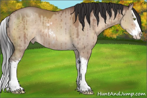 Horse Color:Sable Champagne Dun Sabino Splash Brindle 
