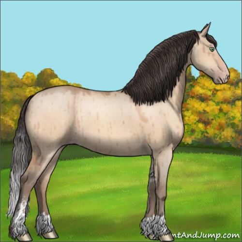 Horse Color:Amber Champagne Dun Sabino Brindle 