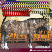 Horse Color:White Spotted Sable Champagne Dun Sabino Splash Rabicano Brindle  and White Spotted Brown Dun Sabino Splash Rabicano Brindle 