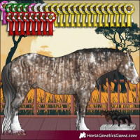 Horse Color:White Spotted Sable Champagne Dun Sabino Splash Rabicano Brindle  and White Spotted Brown Dun Sabino Splash Rabicano Brindle 