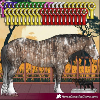 Horse Color:White Spotted Sable Champagne Dun Sabino Splash Rabicano Brindle  and White Spotted Brown Dun Sabino Splash Rabicano Brindle 
