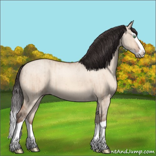 Horse Color:Amber Champagne Dun Splash Brindle 