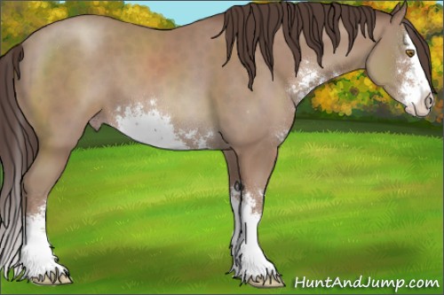 Horse Color:Classic Champagne Sabino Splash 