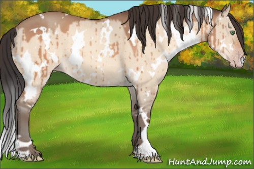 Horse Color:White Spotted Sable Champagne Dun Brindle 