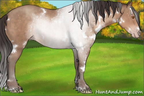Horse Color:White Spotted Sable Champagne Sabino 