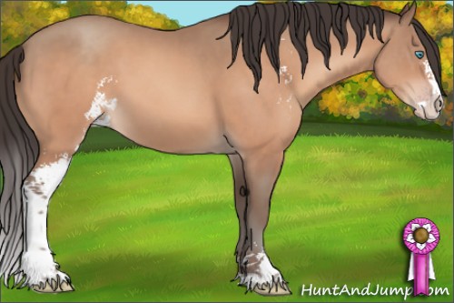 Horse Color:Amber Champagne Sabino 