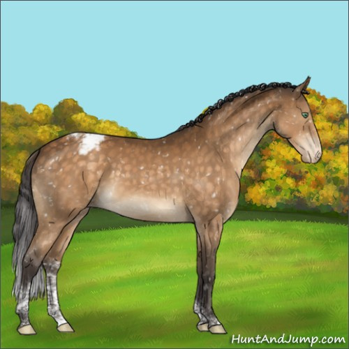 Horse Color:Buckskin Mushroom Tobiano Snowcap 