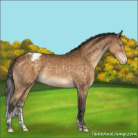 Horse Color:Buckskin Mushroom Tobiano Snowcap 