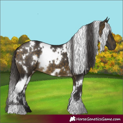 Horse Color:White Spotted Buckskin 
