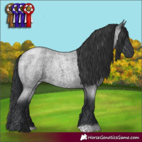 Horse Color:Blue Roan 