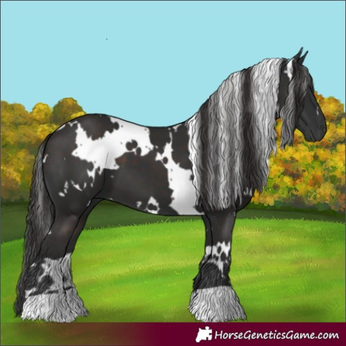 Horse Color:White Spotted Liver Chestnut 