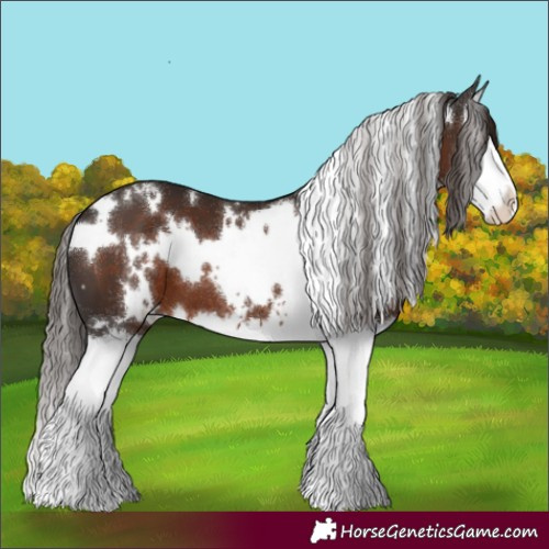 Horse Color:White Spotted Liver Chestnut Splash 
