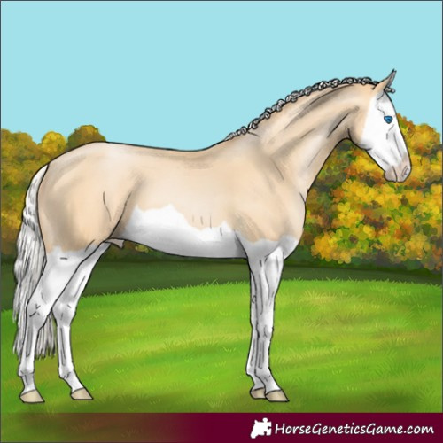 Horse Color:Silver Smoky Black Pearl Splash
