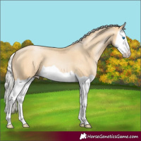Horse Color:Silver Smoky Black Pearl Splash 