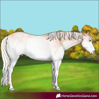 Horse Color:White Spotted Silver Amber Champagne 