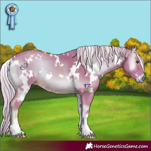 Horse Color:Watercolor White Spotted Palomino Onyx 